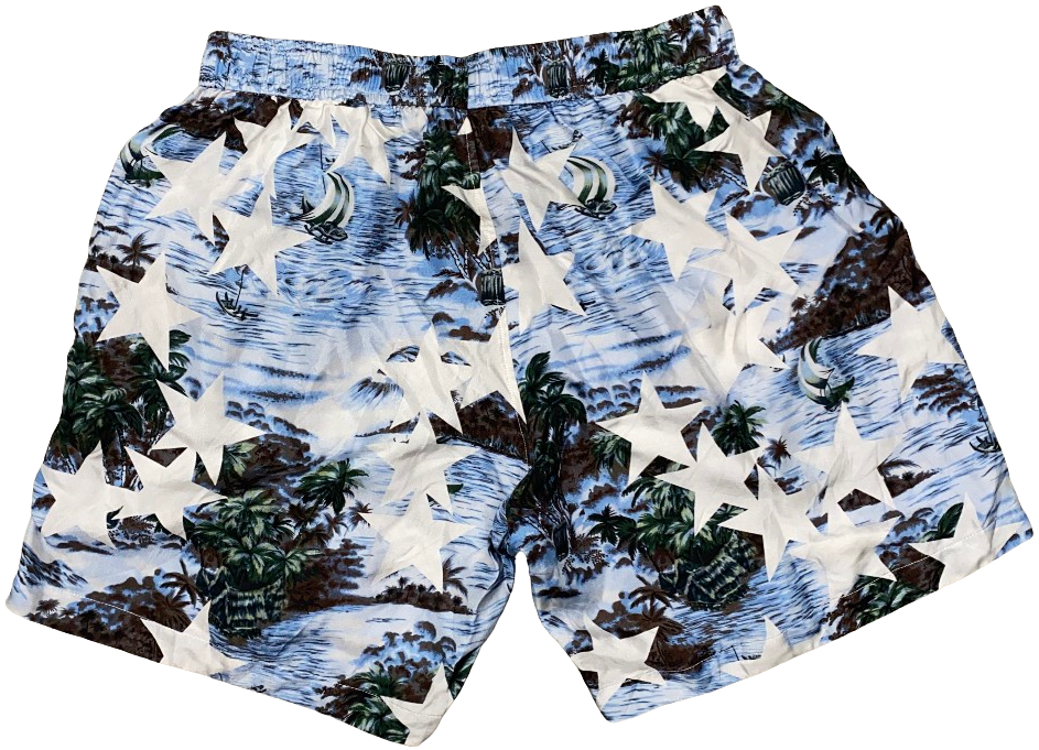 Amiri 'Tropical Star' Blue Silk Shorts
