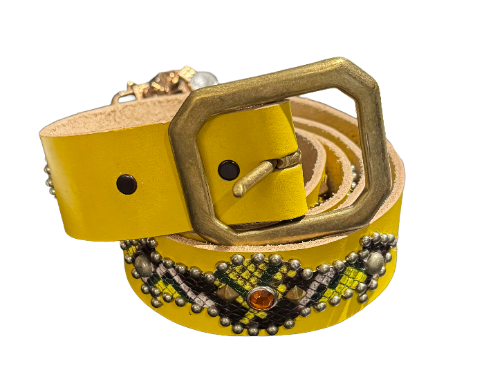 Studded 'Multi Color Snakeskin Arrow / Sun Gem