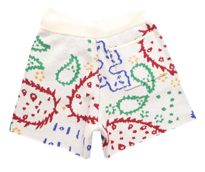 Rhude 'Paisley' Wool Shorts