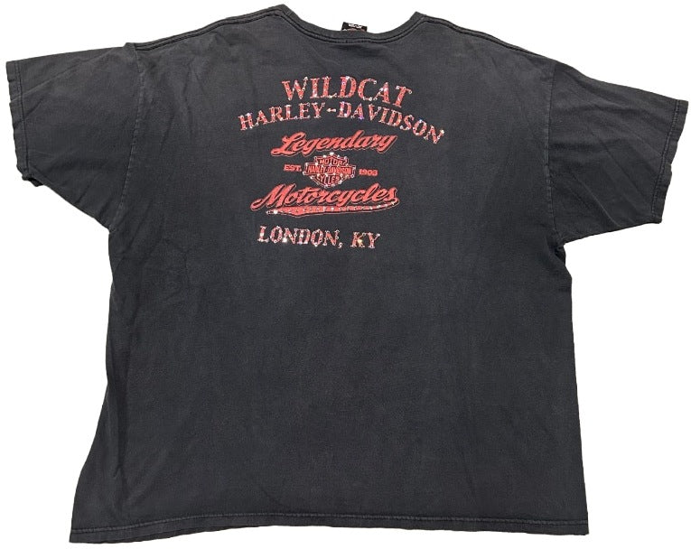 Harley Davidson 'Wildcat' Rhinestone Vintage Tee