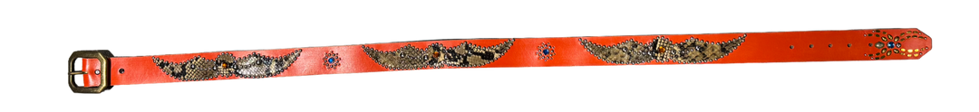 Studded 'Brown Black Snakeskin Spider Gem' Orange Belt
