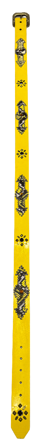 Studded 'Multi Color Snakeskin Arrow / Sun Gem