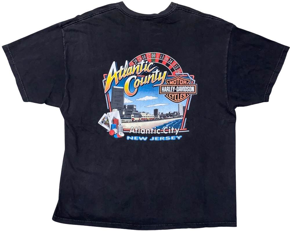 Harley Davidson 'You Wouldn't Understand' Vintage Tee