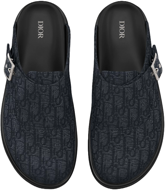 Dior 'Aqua' Mule